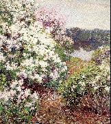 Metcalf, Willard Leroy, Mountain Laurel